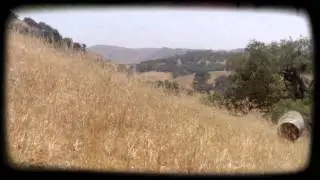 Remember when we use to roll down grass hills?