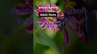 adult facts  #shorts #adultFACTS #facts #adult #love
