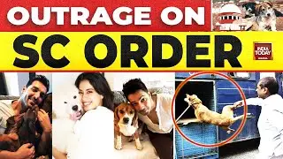 Why Massive Outrage Over Supreme Court's Stray Dog Capture Order? | PETA | Rahul Gandhi