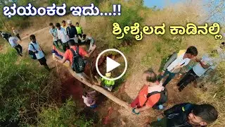 ಶ್ರೀಶೈಲ ಪಾದಯಾತ್ರೆ ನಮ್ಮೂರಿಂದ | Srisaila Hiking Vlog | Nitya Vlogs Travel