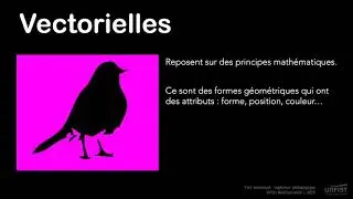 Introduction aux images num&eacute;riques