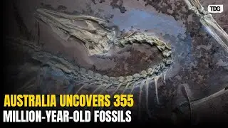 355-Million-Year-Old Fossil Footprints Unearthed in Australia in Major Discovery