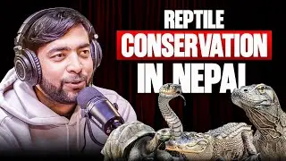 Conservation of Snakes, Lizards & Crocodiles in Nepal Explained | Bishal Neupane | Sushant Pradhan