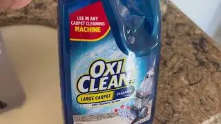 Have Lots of Pets & Kids! Watch Me Clean with Oxi Clean