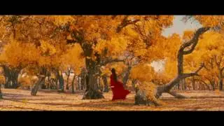 The Art of Colour and Composition: Best Cinematography HD