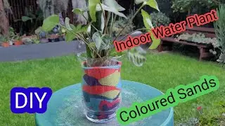 Indoor Water plant DIY Coloured Sands (Ep9)