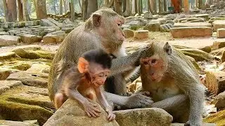 So pity! little Baby Barbie cry much cos hungry milk, why blacky no give milk