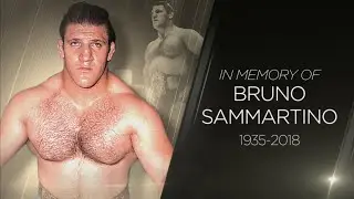 WWE отдает дань уважения Бруно Саммартино
