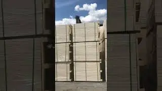 Green Fireproof MGO Board Magnesium Oxide Board Drywall#mgoboard #fireproofcalciumsilicateboard