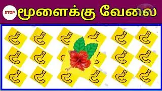 Memory Test 3 |Guess the answer