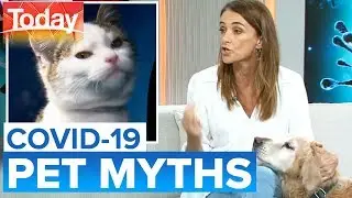 Busting coronavirus myths for pet owners | Today Show Australia