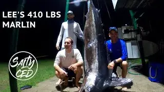 Lee's 410 Lbs Marlin