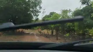 Dessa vez fomos pra chácara, o trabalho não para!!!