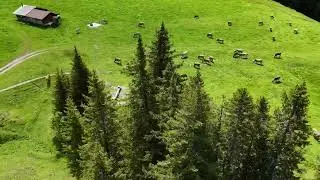 Alps Hike