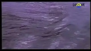Stephen Caudel - Contessa (The Landscape Channel)