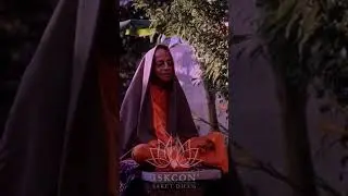 Maya's Trap: Working hard for things we can't keep. 🛑 #srilaprabhupada #viral #iskconsaketdham