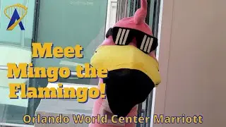 Meet Mingo the Flamingo! New Mascot at Orlando World Center Marriott