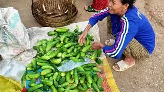 The local market sells many insects and precious medicinal herbs.