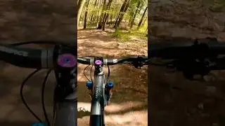 ASMR at Jefferson Forest in Ontario #getatrailupya #mtb #mountainbike #JeffersonForest