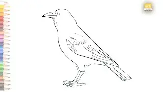 Crow outline drawing 01 II How to draw A Crow drawing step by step II #artjanag
