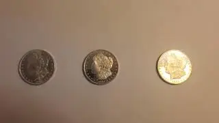 Identifying Deep Mirrors in Morgan Dollars