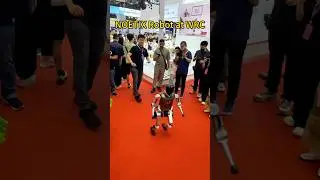 #robot #robotadventure #robotexplore
