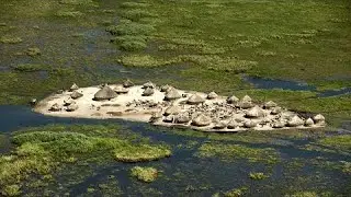 12 Most Incredible Places Where Life Exists