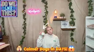 😱🐾 Dog Anxiety Solution That REALLY Works! | Plug-in Diffuser Kit