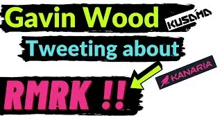 Creator Of Polkadot & Kusama Gavin Wood Tweeted About RMRK Protocol | RMRK Token Pumped !