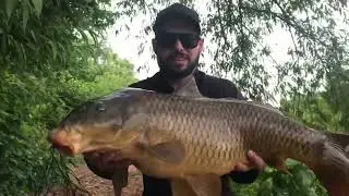 Using Bread in Chicago River Fishing