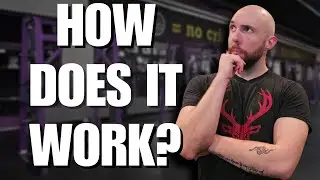 How To Use The Smith Machine At Planet Fitness (For Chest, Quads, Back)