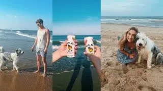 Weekend Beach Trip: Dewey Beach, Kylo sheepadoodle puppy's  first time swimming, dog friendly vaca!