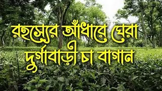Mysterious Tea Garden, Agartala | Real Life Paranormal Events | Real Life Horror Experiences