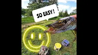 НАСТРОЙКА ДЛЯ ЛОВЛИ ЩУКИ НА ЖИВУЮ НАЖИМКУ (ПРОСТО) #northernpike