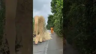 Big sand sculpture catwalk-3🤯3D special effects Green screen | #youtubeshorts #shorts