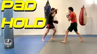 MUAY THAI / BOXING: Pad holding