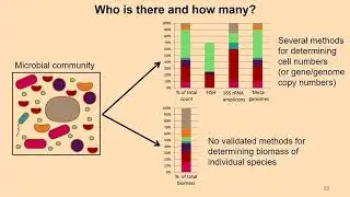 Manuel Kleiner: Metaproteomics Role in Microbiota Host Interactions