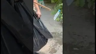 Cleaning the forest in silence,With just a simple wooden tool. #ForestCleanup #cleanwithme
