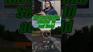 Nordschleife Sektor 10 auf Gold
