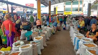 É SÓ FARTURA! FEIRA LIVRE DE SÃO BENEDITO CEARÁ, NORDESTE DO BRASIL DIA 13/04/2025