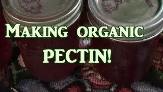 Making Organic Pectin