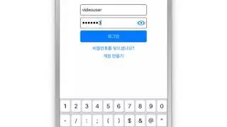 View Case Details Using the ACCESS HRA Mobile App - Korean