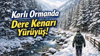 ❄️ Karlar Altında Dere Sesi | Sessiz Bir Vadi Y&uuml;r&uuml;y&uuml;ş&uuml;