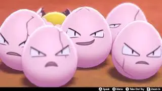 Exeggcute In Camp - Pokemon Sword & Shield