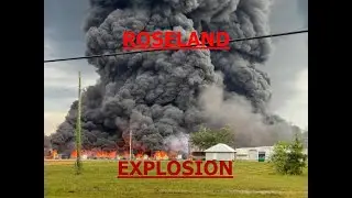 The Environmental Disaster They're Not Telling You About!
