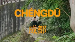 First Time in Chengdu 🌶️ The Panda Capital 🐼