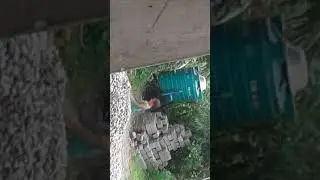 real fight of kids name of girl nuyang rai      and name of boy krishna buddhathoki