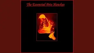Blues Medley: I've Changed My Mind / The Miners Song / Walking Blues (live)