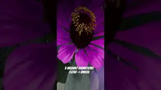 Multiple Mixamo animations in Clo3D