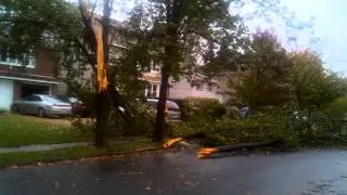 Hurricane Sandy Elizabeth NJ Tree Down #3